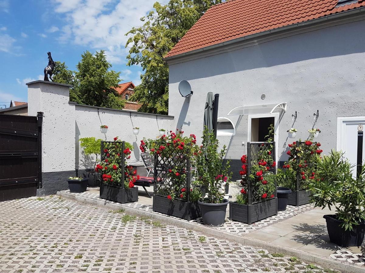 Pferdepension Jaeger Markranstädt Exterior foto